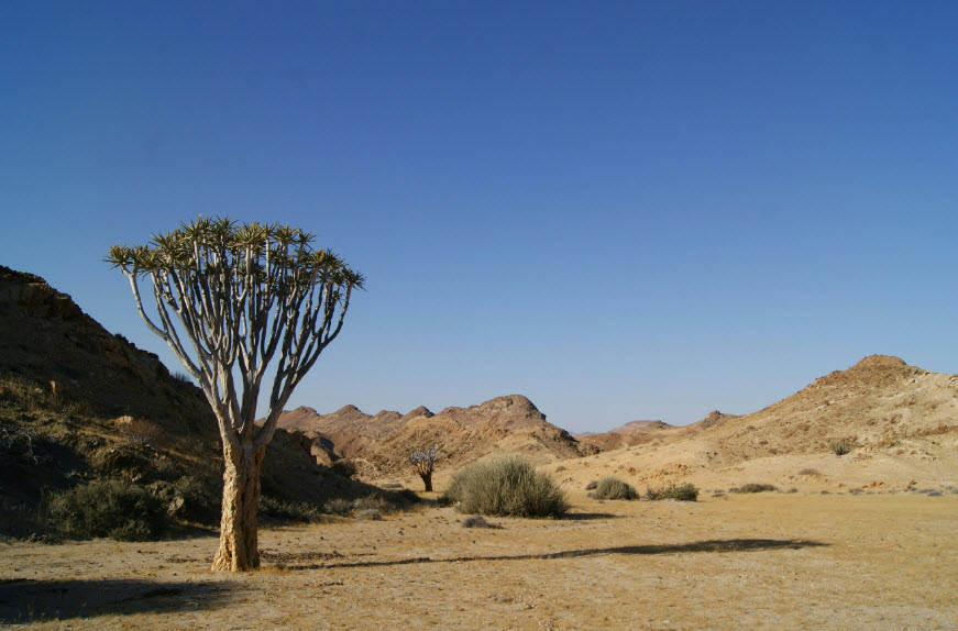 Petit Bara Desert